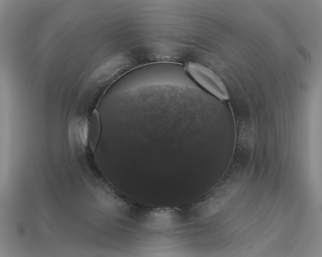 X0000113270076200909241552