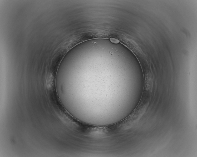 X0000113270077200909241552