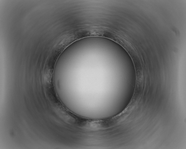 X0000113270078200909241552