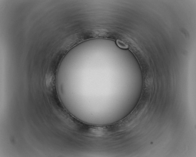 X0000113270079200909241552