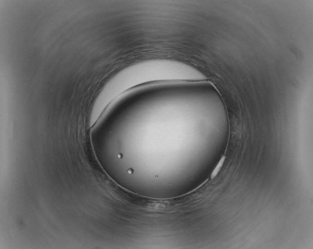 X0000113270080200909241552