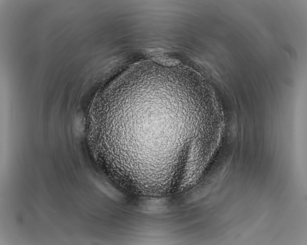 X0000113270081200909241552