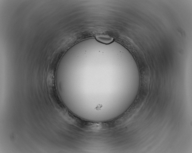 X0000113270083200909241552