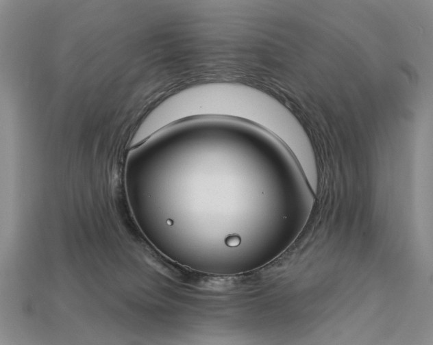 X0000113270084200909241552