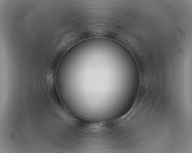 X0000113270086200909241552