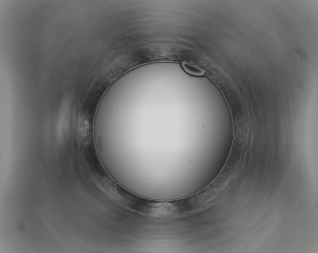 X0000113270087200909241552