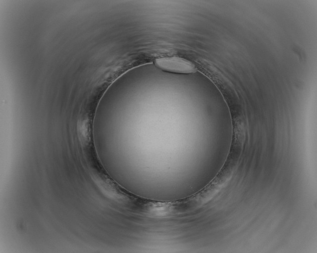 X0000113270088200909241552