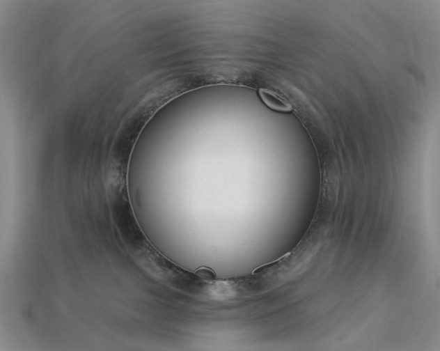 X0000113270091200909241552