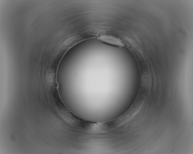 X0000113270092200909241552