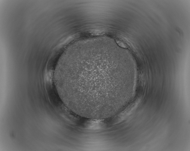 X0000113270093200909241552