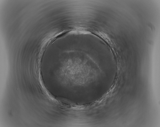 X0000113270097200909241551