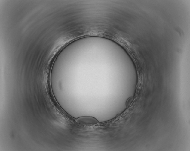 X0000113270098200909241551