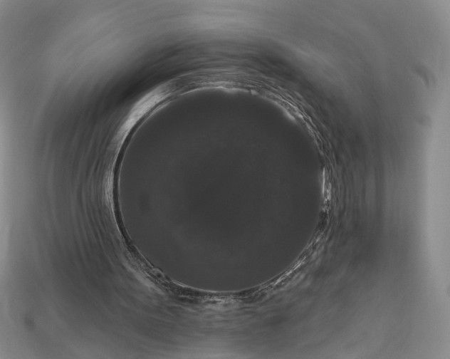 X0000113270099200909241551