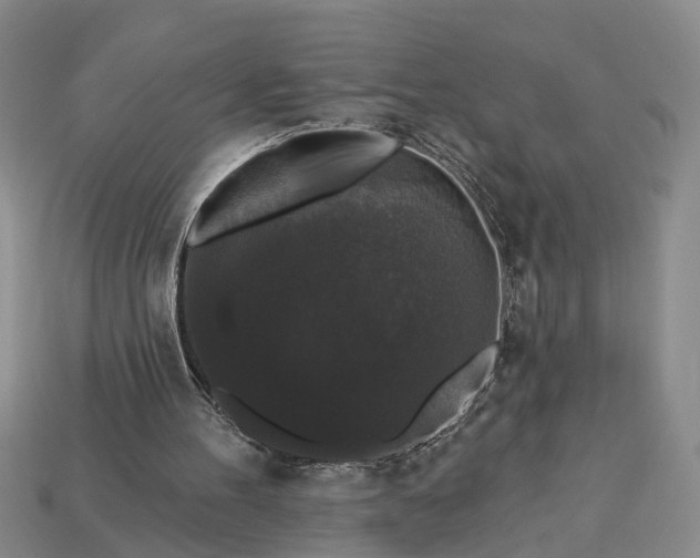 X0000113270100200909241551