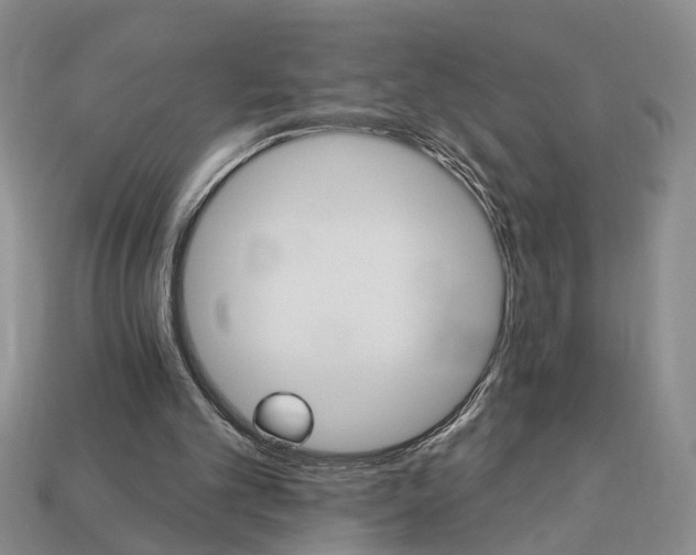 X0000113270101200909241551