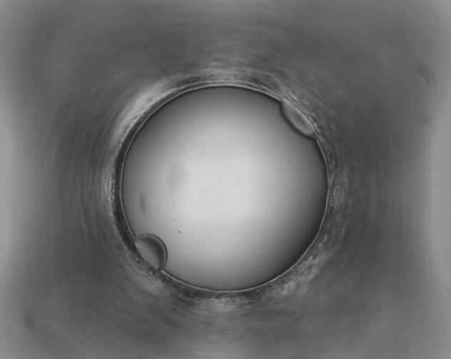 X0000113270103200909241551