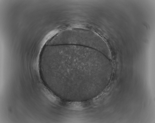 X0000113270104200909241551