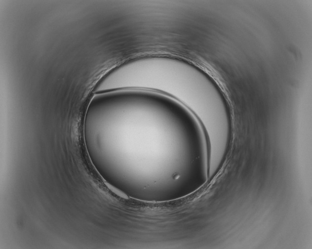 X0000113270105200909241551