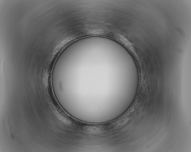 X0000113270106200909241551