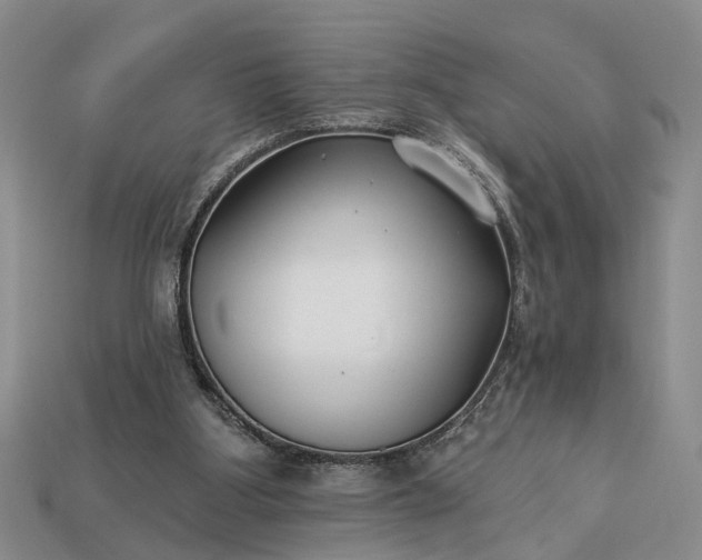 X0000113270107200909241551