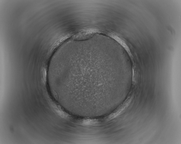 X0000113270109200909241551