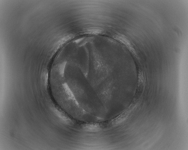 X0000113270110200909241551