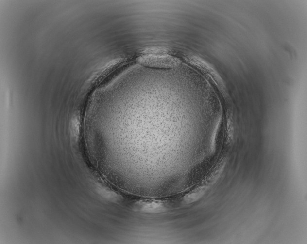 X0000113270113200909241551