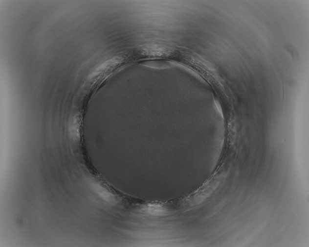 X0000113270114200909241551