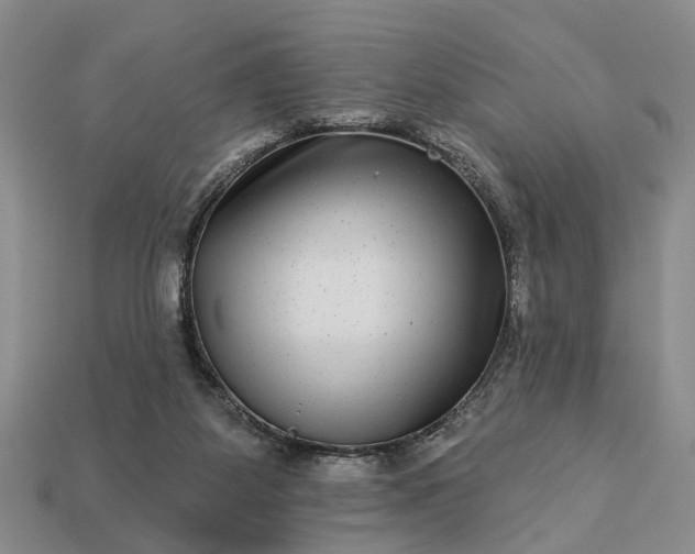 X0000113270115200909241551