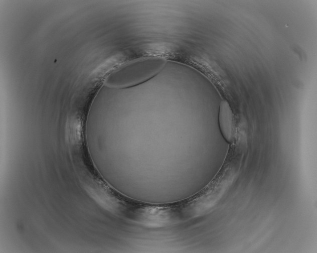 X0000113270117200909241551