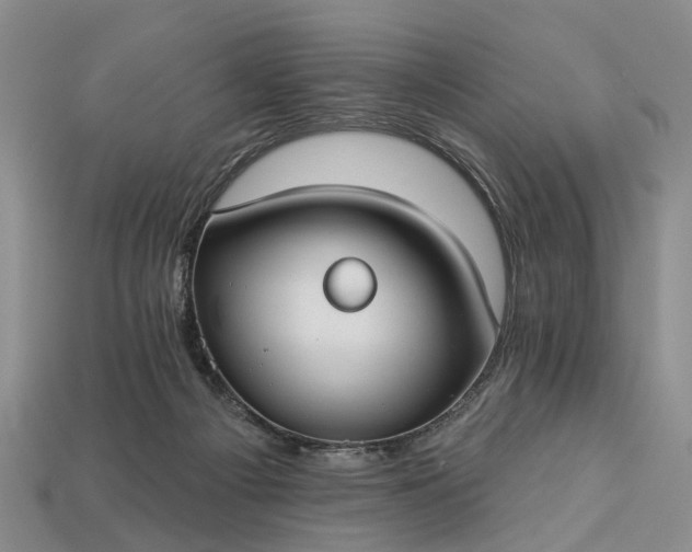 X0000113270121200909241551