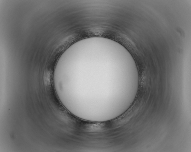 X0000113270122200909241551