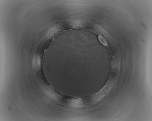 X0000113270124200909241551