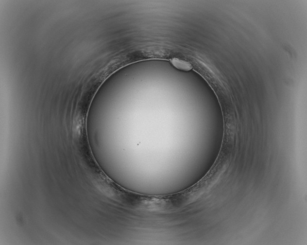 X0000113270125200909241551