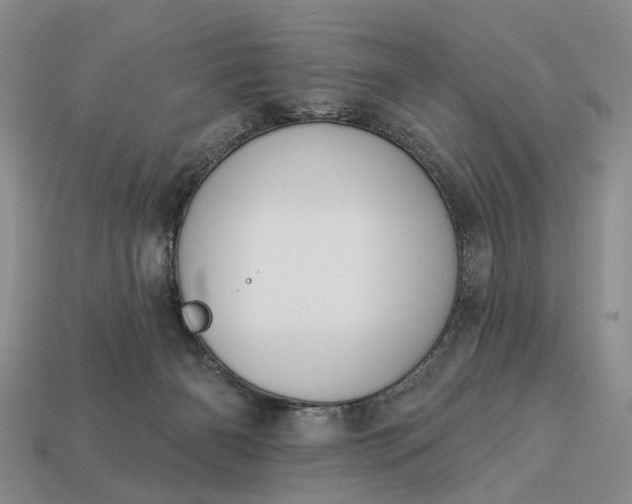 X0000113270126200909241551