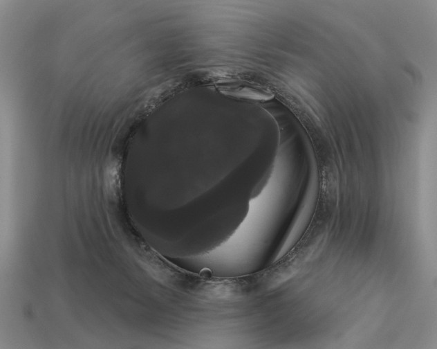 X0000113270127200909241551