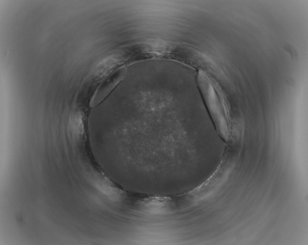 X0000113270128200909241551