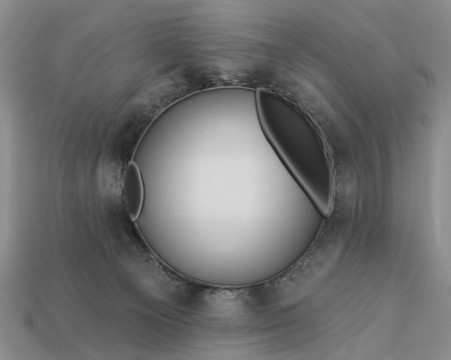 X0000113270129200909241551