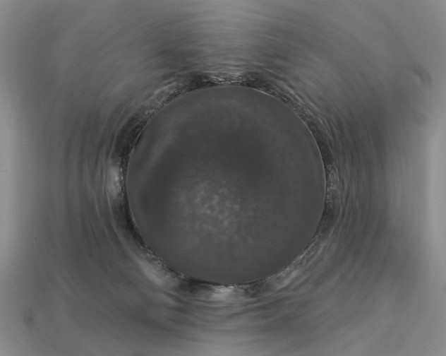 X0000113270130200909241551