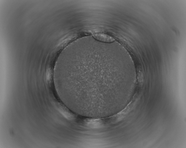 X0000113270132200909241551