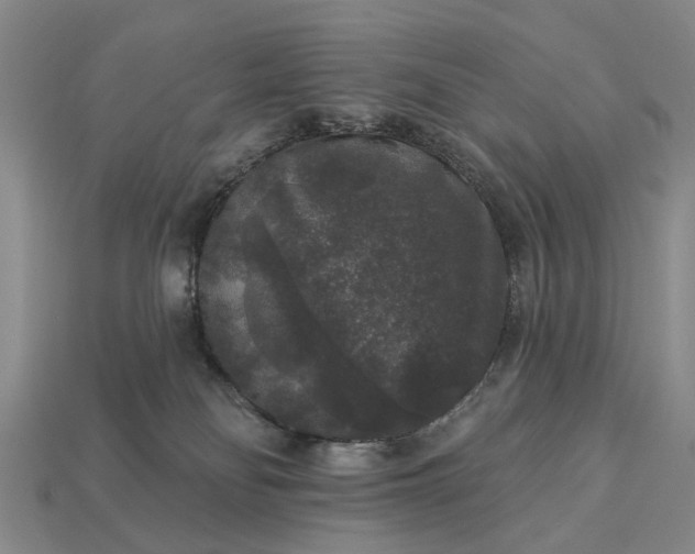 X0000113270134200909241551