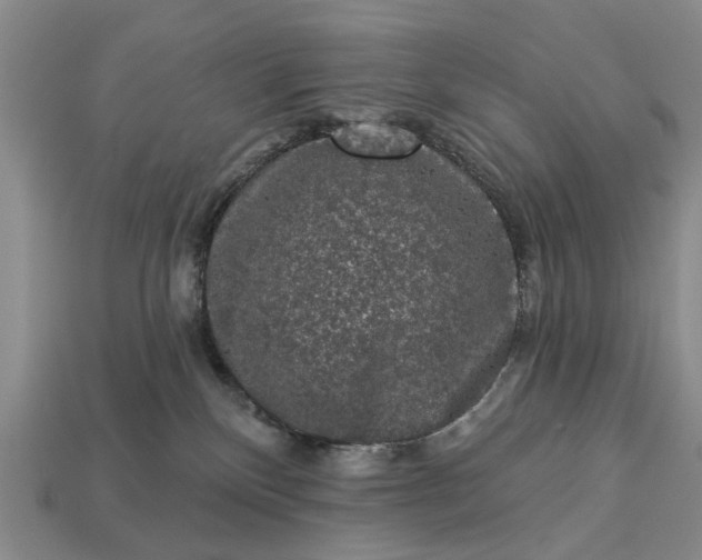 X0000113270136200909241551