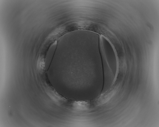 X0000113270137200909241551