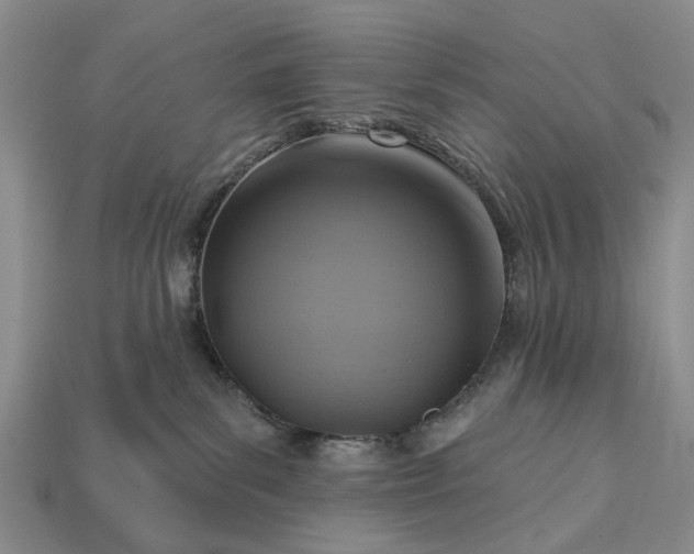 X0000113270139200909241551