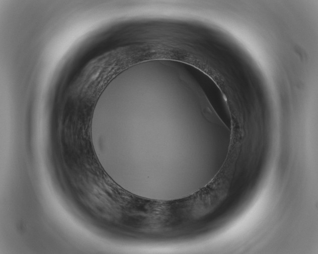 X0000113270143200909241550