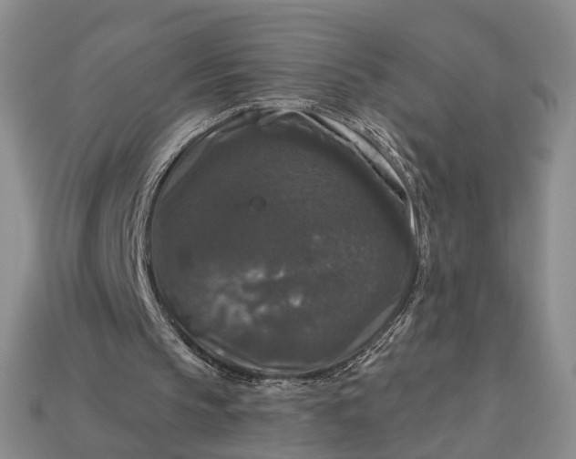 X0000113270145200909241550