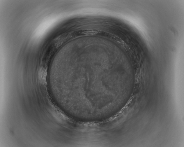 X0000113270146200909241550