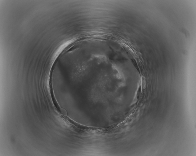 X0000113270147200909241550