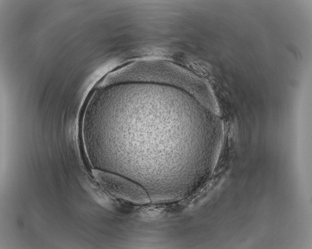 X0000113270148200909241550