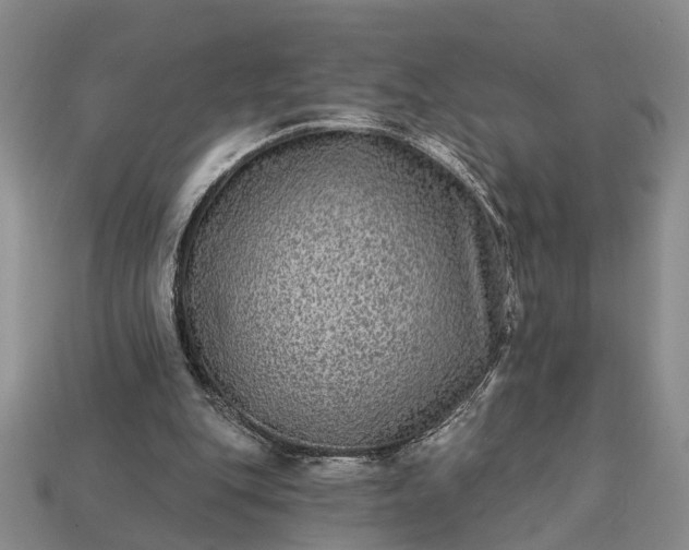 X0000113270151200909241550